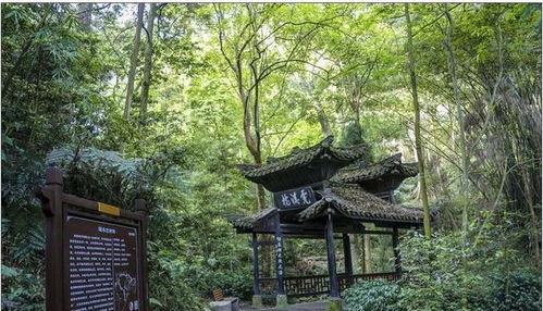 峨眉山伏虎寺的地理与周边环境特征
