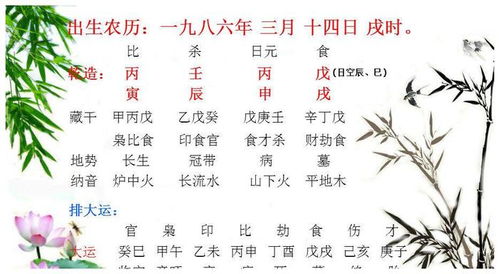 案例分析：创业者的成功之路