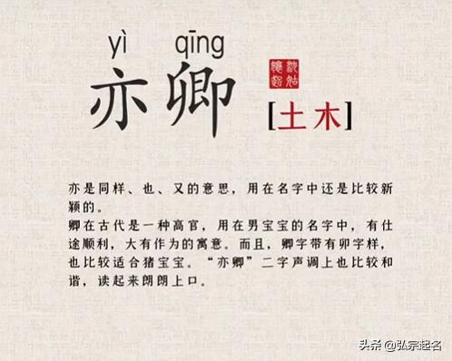 杨姓男孩取名：乱炖