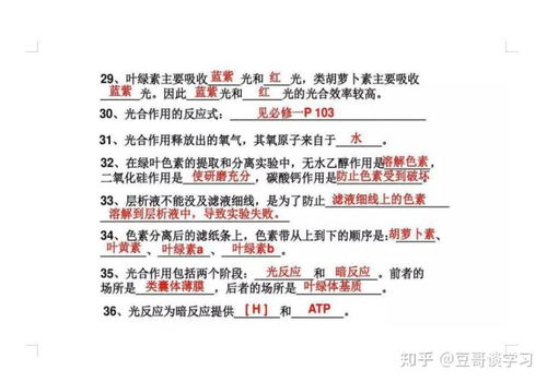 飞遁鸣高是哪个生肖？打一生肖动物，？