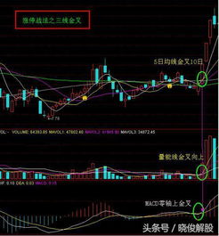 技术要素的综合判研