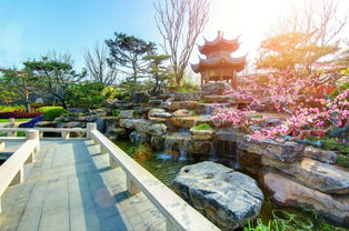 一、 从楼盘到童世界：一次不太成功的跨界实验