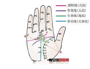 三、 现代化视角下的科学研究评估与批判性反思