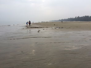 春节自驾游的痛点：人挤人还是错峰游？