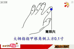 1. 拇指：祖上荫庇与务实精神