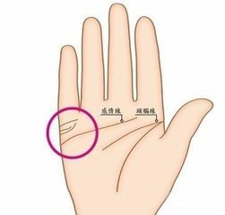 婚姻线形状不同代表什么含义？