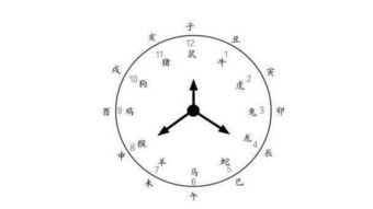 孤命是什么时辰的人，孤辰命蕞好的三个时辰是哪些？