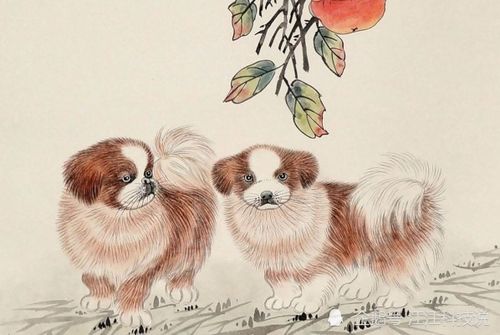 财富积累与晚年经济保障