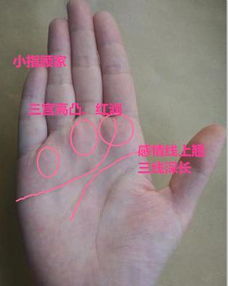 女人掌纹中财运好的特征有哪些？我的财运如何？