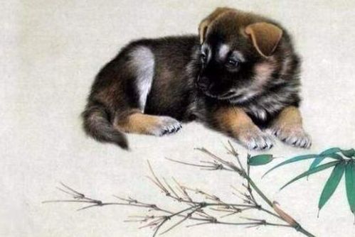 2026年属狗运势中太岁物件具体指什么？