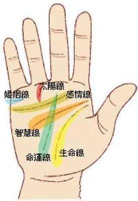 手纹命线究竟揭示了哪些人生奥秘和命运走向？