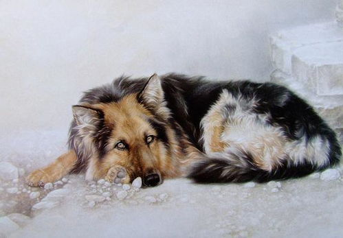 一、 犬年（戊戌）之天干地支特征及其对流年的整体作用于