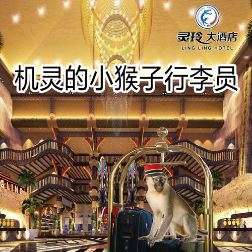 序言：昏暗与光明之战