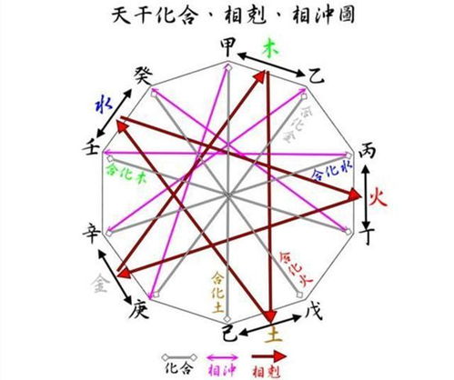 D. 事业路径选择提议