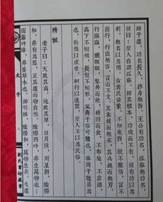 较大六壬运移经的概念与基本结构
