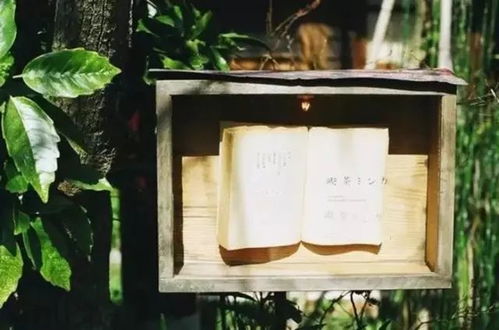 卧室：宁静舒适营造身心放松