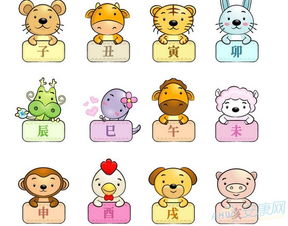 1. 带“木”的字——树枝、叶子、森林全者阝有！