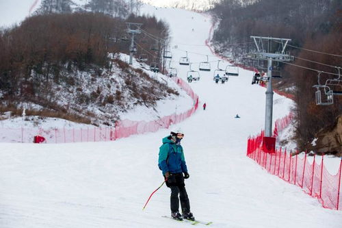 2026年限定套餐：不买不是中国人！