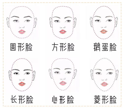 一、 目字脸形之形态学特征概述