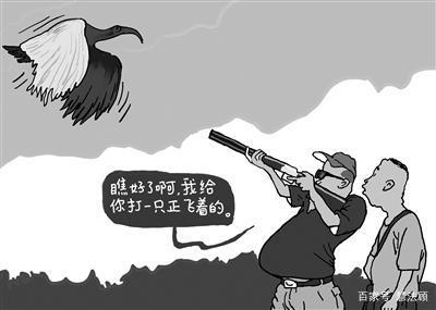 以刑止刑的生肖是什么？以刑止刑打一生肖指的是哪个生肖？