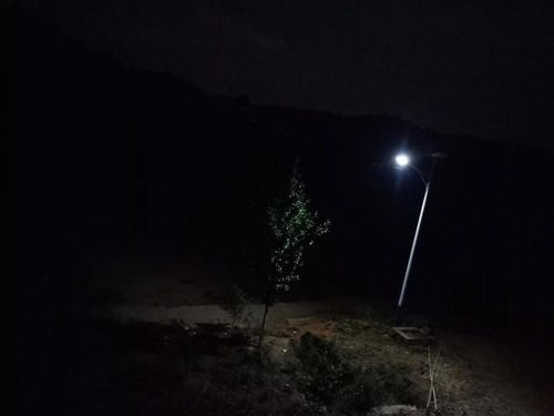 老陈家频繁怪事的地方性文化解读