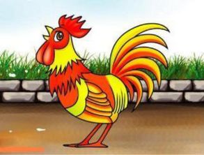 属鸡人的贵人手机尾号，生肖属鸡的最佳手机尾号是哪个？