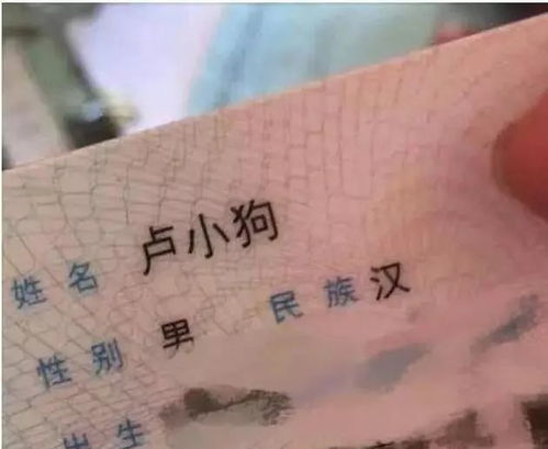 姚姓男孩取个霸气搞笑的名字叫什么好呢？