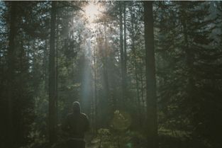 一、 自然山水类——以宏观天地象征自我力量