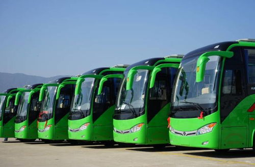 坐大巴车的血泪史回忆