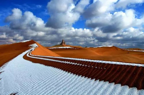 第四章：沙坡头之“沙子为什么这么烫”🔥🔥🔥