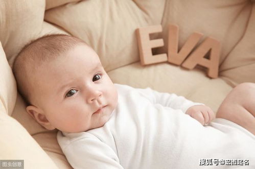 喜用部首：沾沾光