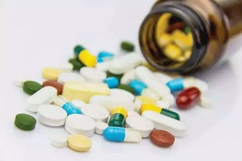 隐藏的高山森林：川北高原上的秘境