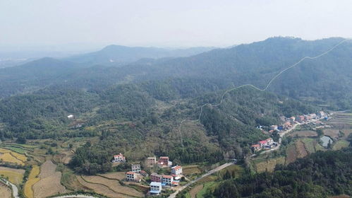 广西容县十大祖坟风水图，如何判断其风水布局是否适宜？