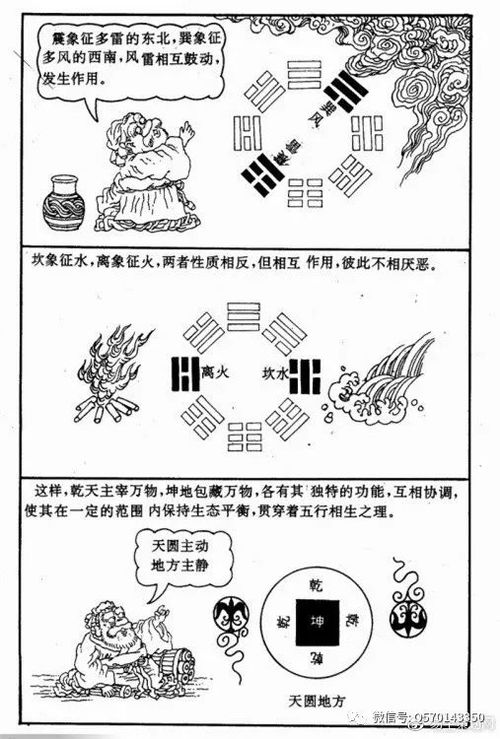 4. 巽卦生体