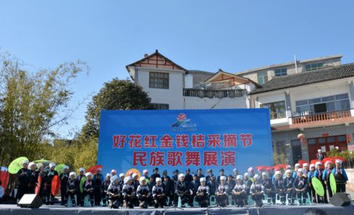 买特产买到破产的购物陷阱