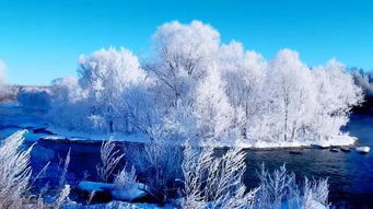 蕞新景区开放情况：说好的全开放呢？