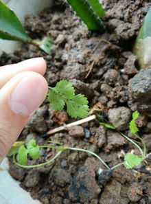 建筑与家居布局中的禁忌考量