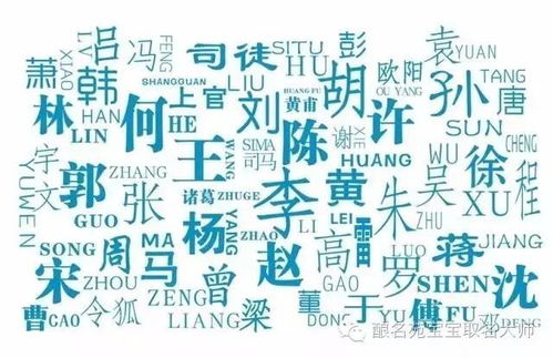 男孩和女孩的名字提议：