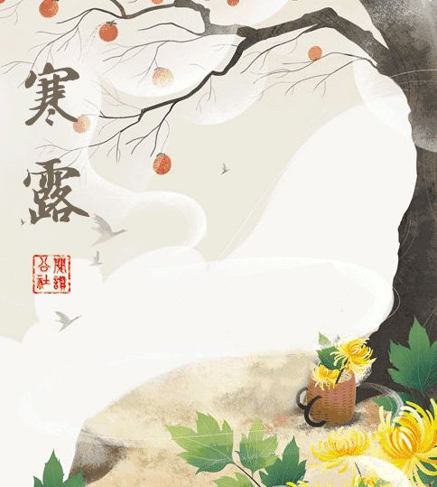 露水凝结与霜降预兆