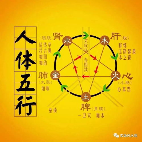 二、 风水不良对人体身体健康状况的潜在作用于