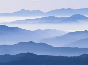 经济发展与区域联动