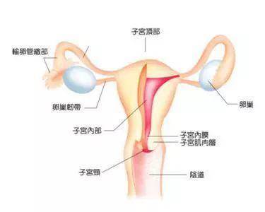 诊断与医治
