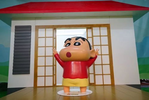 我可依为您提供的替代方案：