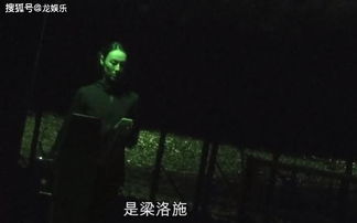 一、 星象预兆与情绪变化波动：生肖星座的作用于