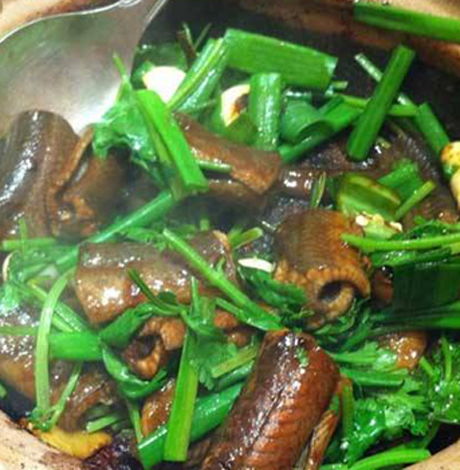 二、 孕期食用黄鳝所面临的平安隐患及