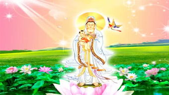 2017年观音诞在闰六月十九，这个日期过闰六月十九的观音诞吗？