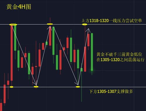 (一) 心理状态层面的平衡把握
