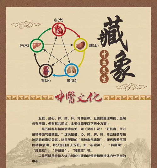 太阴之象及其所蕴含的吉凶机理