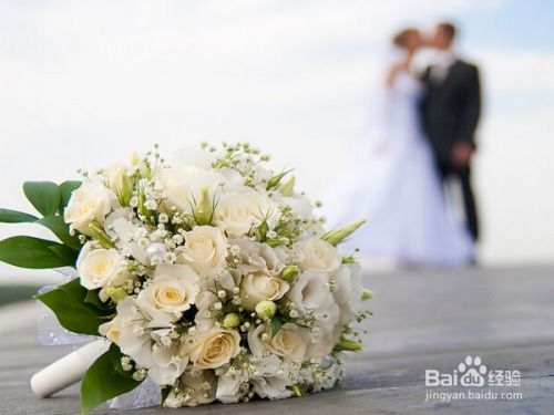 3.1 花语细分及其对应人生阶段