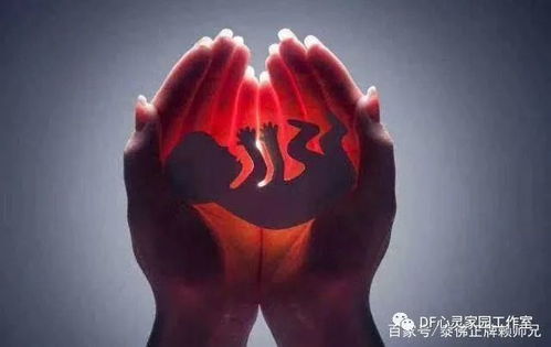 2.2 典型案例及其社会影响